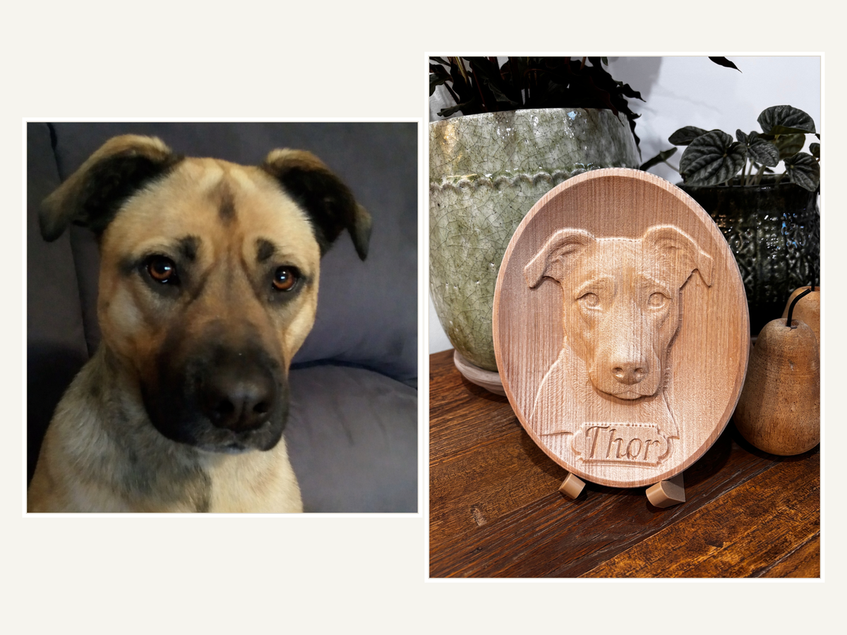 How to Choose the Best Photo for a Pet Portrait