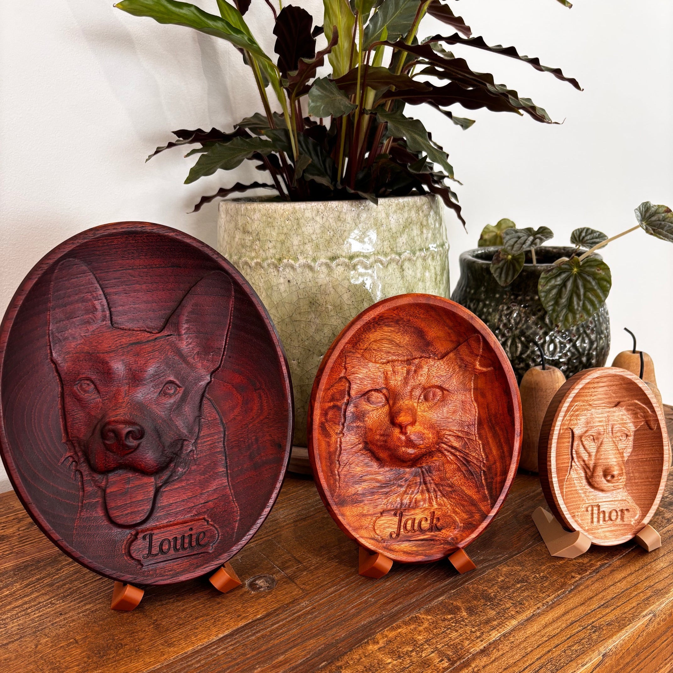 Custom Camphor Laurel Portrait Carving